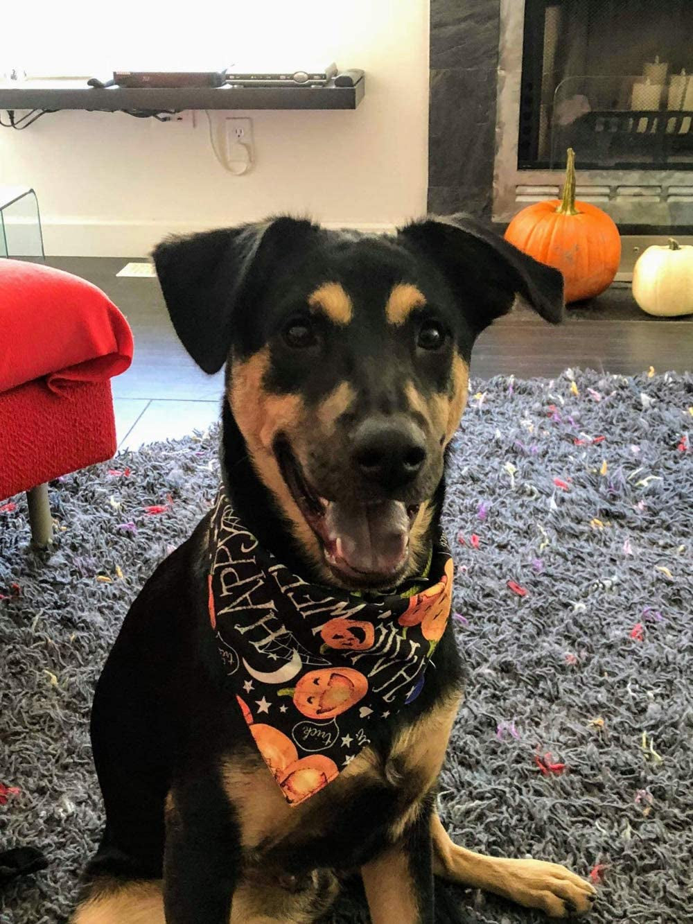 KZHAREEN 4 Pcs/Pack Halloween Dog Bandana Pumpkin Reversible Triangle Bibs Scarf Accessories for Dogs Cats Pets Large Animals & Pet Supplies > Pet Supplies > Dog Supplies > Dog Apparel KZHAREEN