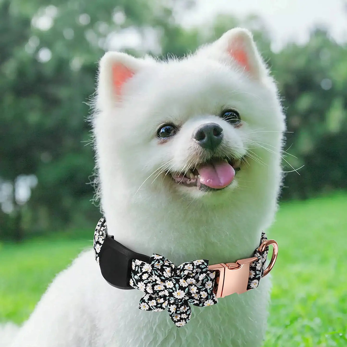 Airtag Dog Collar Holder,Anti-Lost Silicone Case Accessories for Air Tag GPS Tracking,Compatible with Dogs Cats Pets Collar (1 Pack, Black) Electronics > GPS Accessories > GPS Cases Gokotta