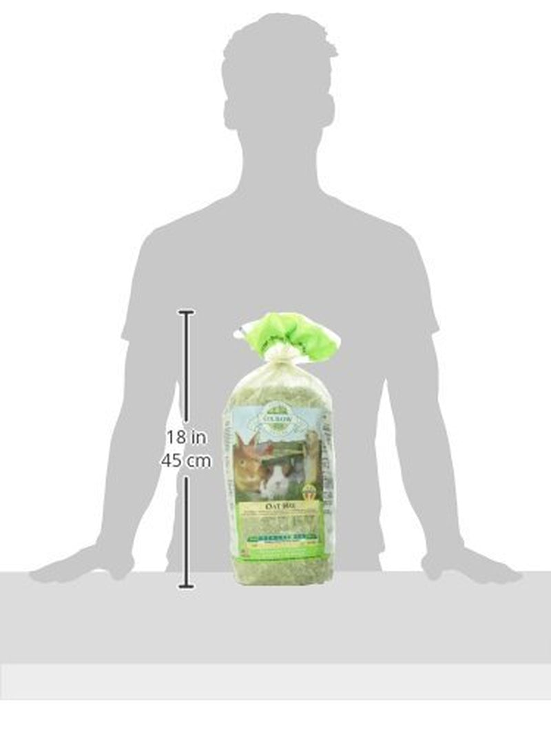 Oxbow Pet Products Oat Hay Dry Small Animal Food, 15 Oz. Animals & Pet Supplies > Pet Supplies > Small Animal Supplies > Small Animal Food Mars Petcare