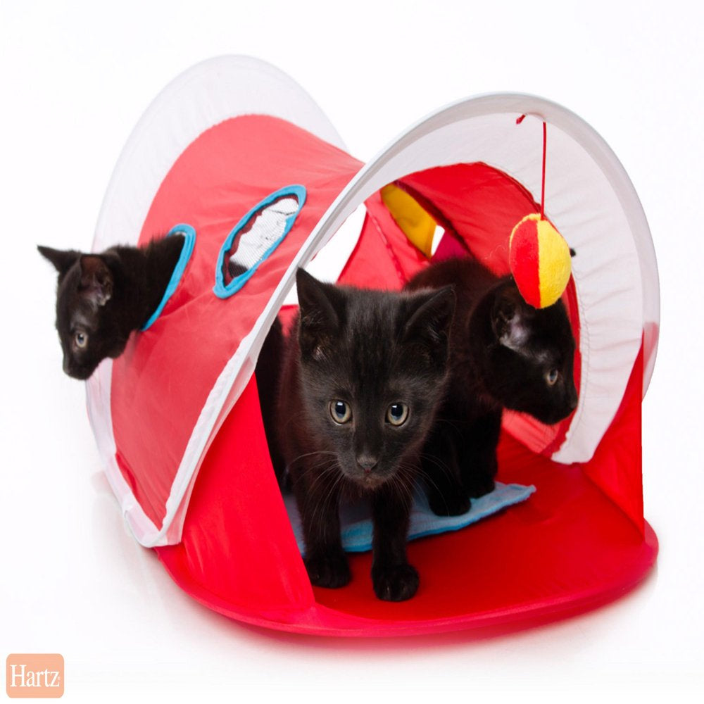 Hartz Just for Cats Peek and Play Pop-Up Tent Cat Toy Animals & Pet Supplies > Pet Supplies > Cat Supplies > Cat Toys Hartz Mountain Corp