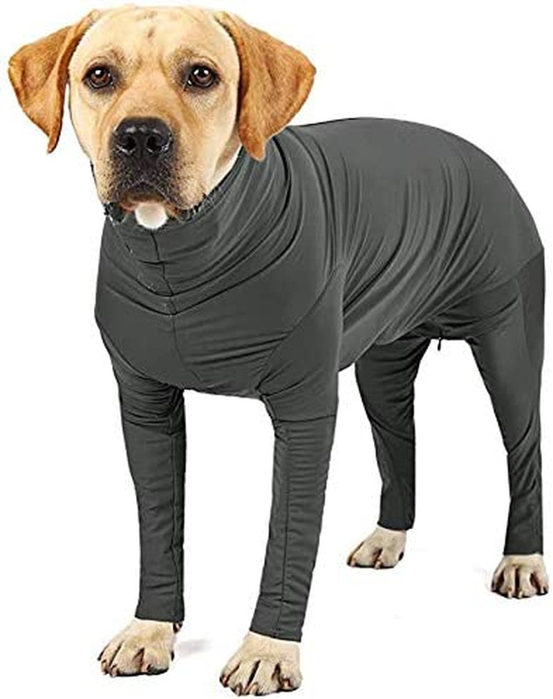 Dog onesie deals for shedding