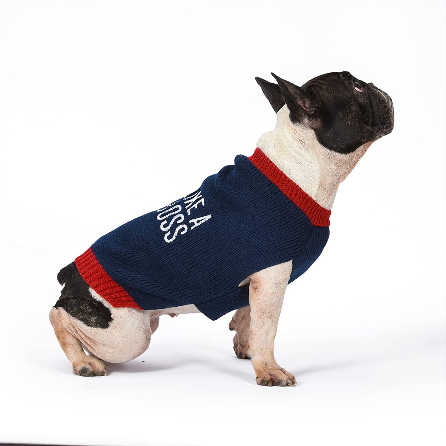 Peanuts for Pets Snoopy "Like a Boss" Dog Sweater, Medium | Soft and Comfortable Dog Apparel Dog Clothing Dog Shirt | Peanuts Snoopy Medium Dog Sweater, Medium Dog Shirt for Medium Dogs Animals & Pet Supplies > Pet Supplies > Dog Supplies > Dog Apparel Fetch for Pets   