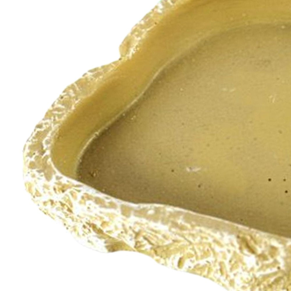 Amphibian Water Dish, Decor Terrarium Pets Worm Reptile Food Bowl Feeders Watering for Lizards, , Gecko, , Hermit Animals & Pet Supplies > Pet Supplies > Reptile & Amphibian Supplies > Reptile & Amphibian Food FITYLE