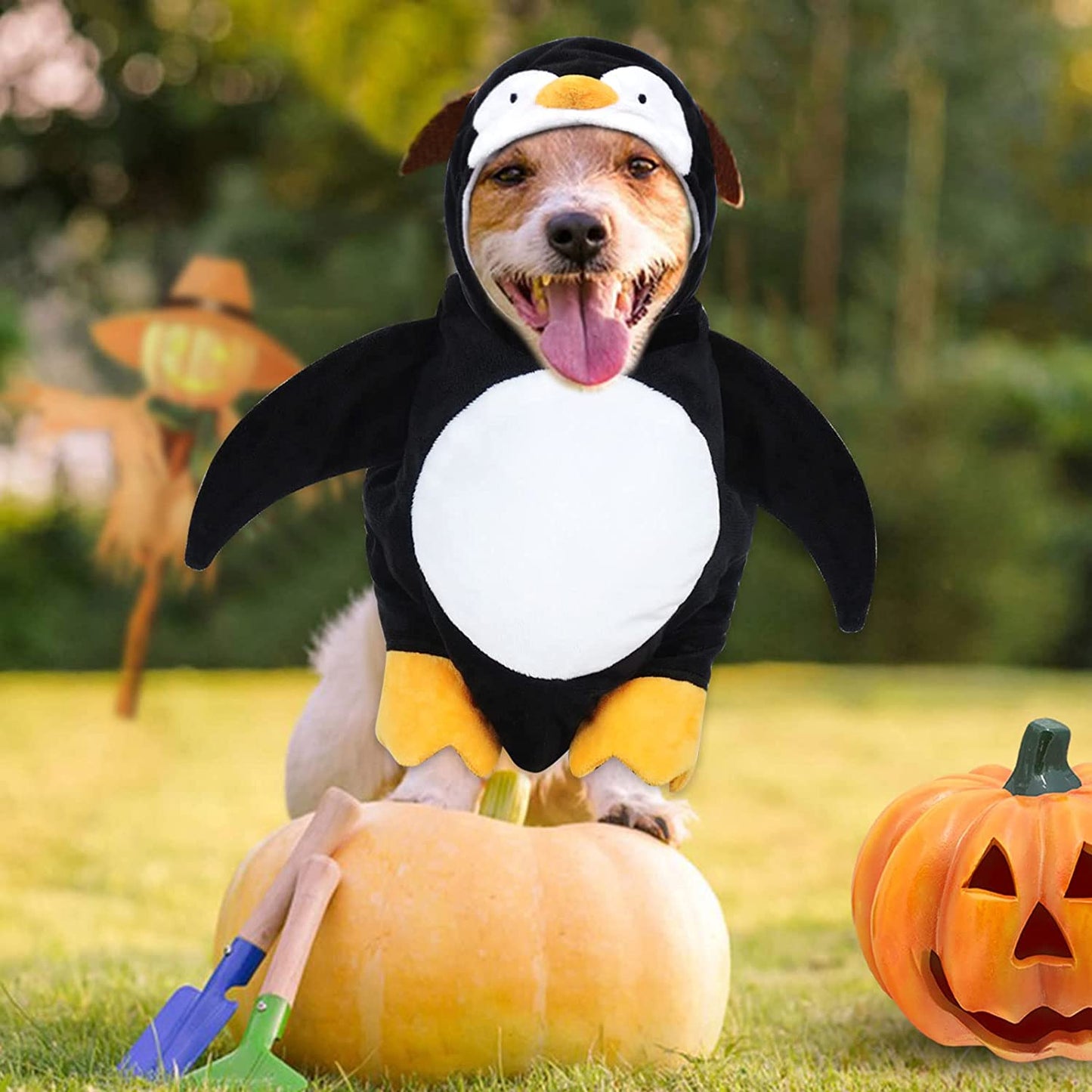 Cyeollo Dog Costume Cute Penguin Dog Cosplay Puppy Funny Halloween Costumes Party Special Clothes for Small Dogs Animals & Pet Supplies > Pet Supplies > Dog Supplies > Dog Apparel cyeollo