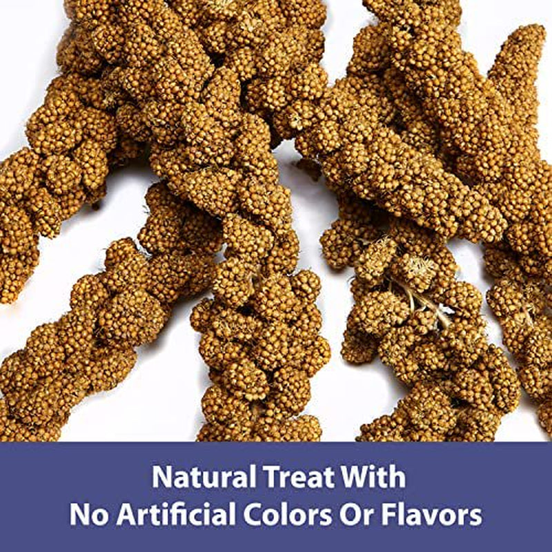 Kaytee Spray Millet Treat for Pet Birds, 7 Ounce Animals & Pet Supplies > Pet Supplies > Bird Supplies > Bird Treats Bolanlay LLC