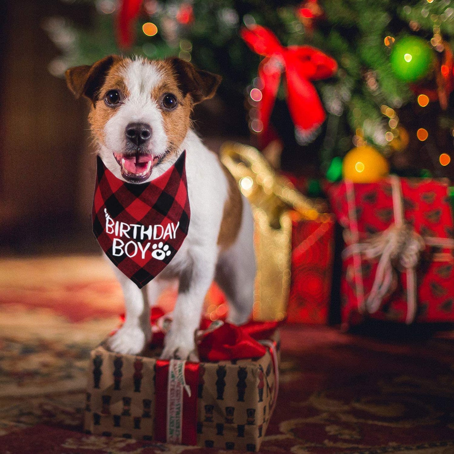 STMK 2 Pack Dog Birthday Bandana, Dog Birthday Boy Bandana Plaid Triangle Scarf for Dog Puppy Birthday Animals & Pet Supplies > Pet Supplies > Dog Supplies > Dog Apparel STMK