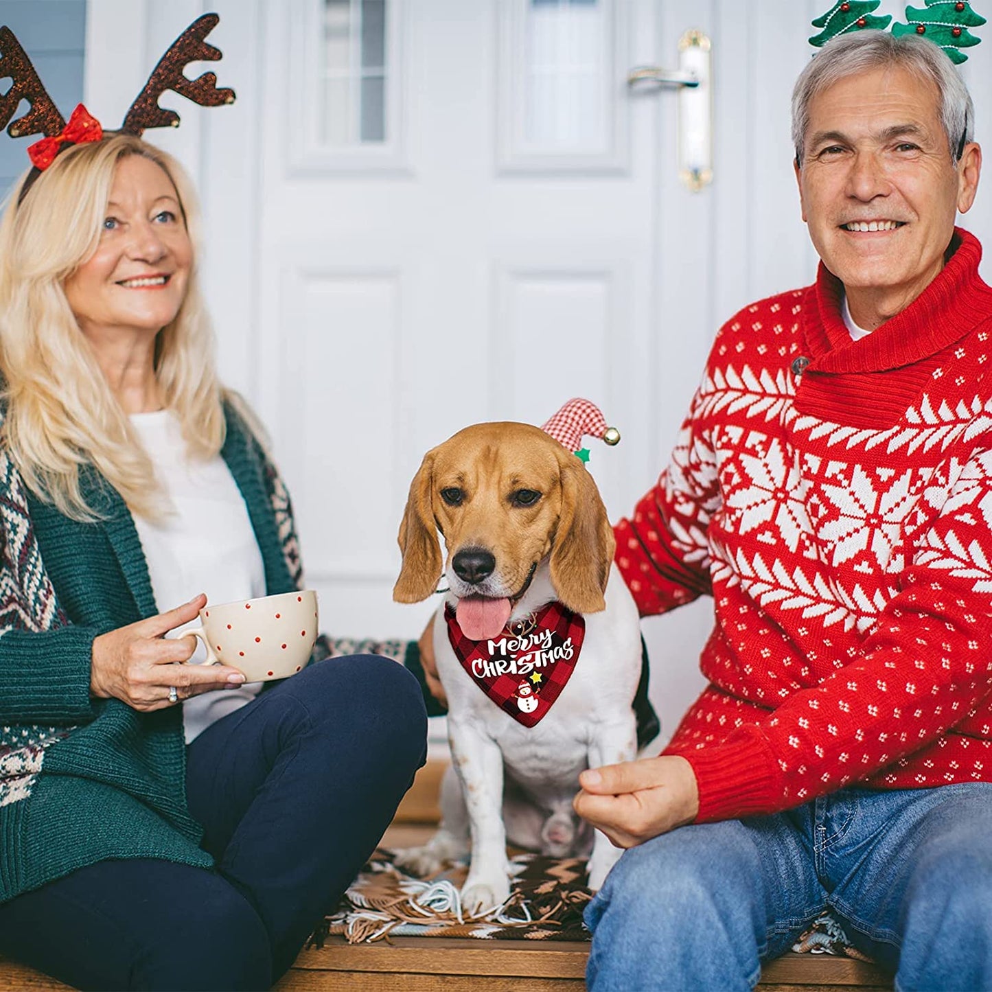 4 Pack Birthday Dog Bandanas Classic Fall Triangle Plaid Christmas Xmas Pet Scarf Bibs Kerchief Gifts with Santa Snowman Printing Pet Holiday Accessories Decoration for Small to Large Dogs Cats Animals & Pet Supplies > Pet Supplies > Dog Supplies > Dog Apparel Remifa