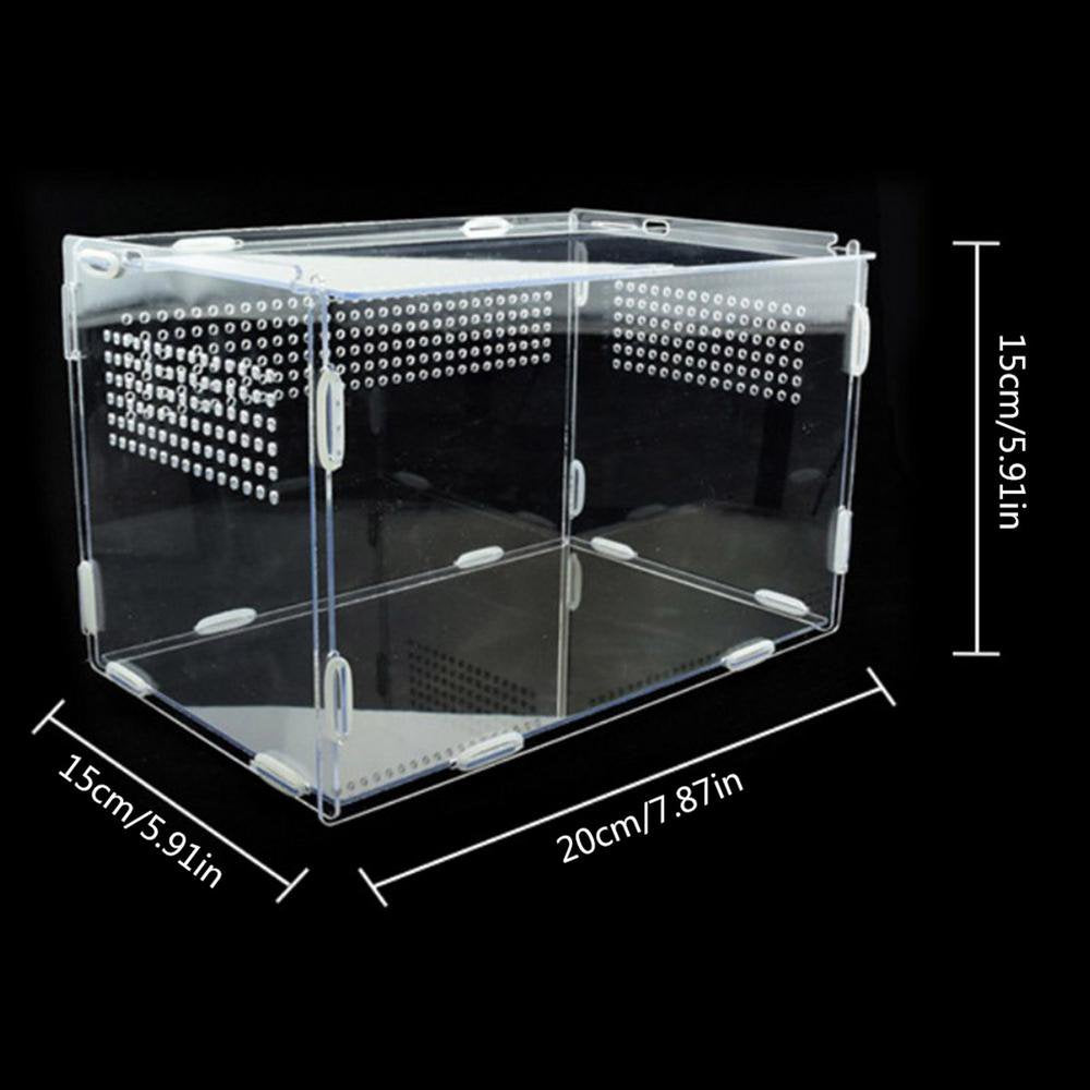 Centwalm Reptile Feeding Box Transparent Reptile Terrarium Habitat with Air Holes Feeding Case Reptiles Supplies for Insect Reptiles Tarantulas Amphibians Caterpillars Cricket Spider Snail Judicious Animals & Pet Supplies > Pet Supplies > Reptile & Amphibian Supplies > Reptile & Amphibian Habitats Centwalm