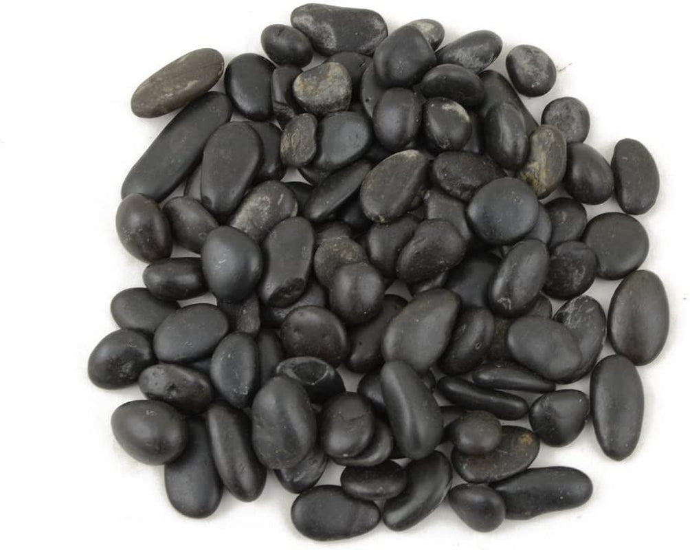 CNZ Decorative Ornamental River Black Pebble Stone for Fresh Water Fish Animal Plant Aquariums, Landscaping, Home Decor (0.5"-0.8" 5 LBS) Animals & Pet Supplies > Pet Supplies > Fish Supplies > Aquarium Decor CNZ