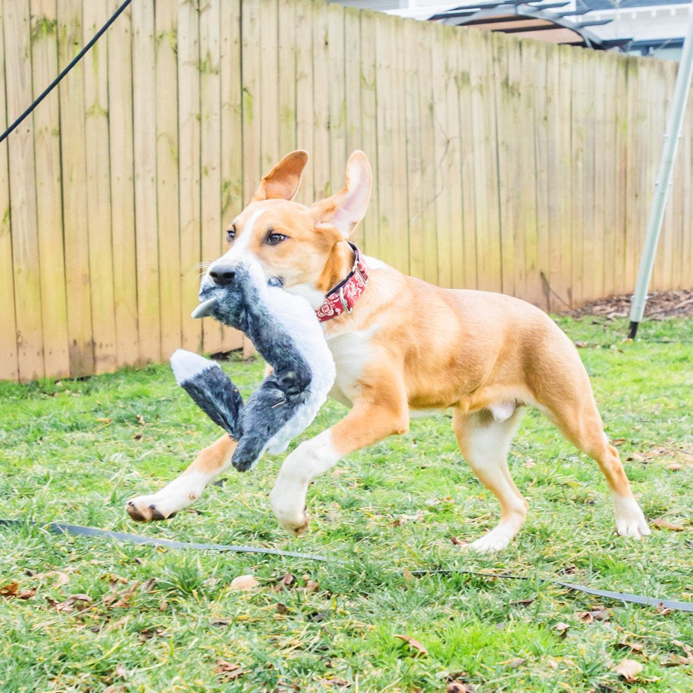 Vibrant Life Long Fox Plush Dog Toy Animals & Pet Supplies > Pet Supplies > Dog Supplies > Dog Toys Wal-Mart Stores, Inc.