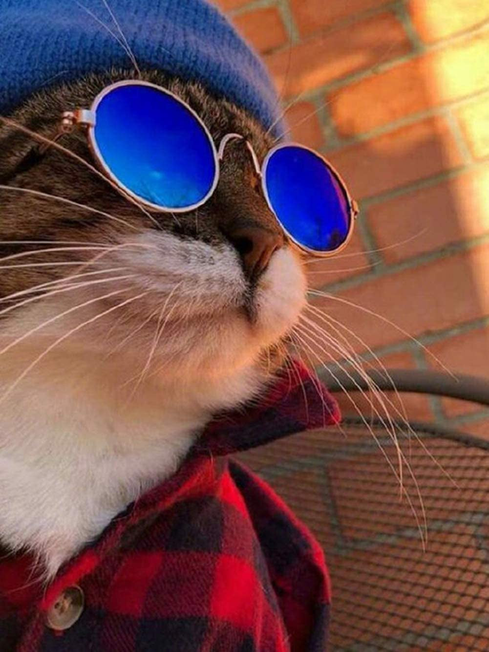 YIMUMU Cat Dog Sunglasses Classic Retro Circular Metal Glasses for Cats Puppy Pet Eye-Wear for Funny Cosplay Toys Costume Photos Props, 2 Pcs Animals & Pet Supplies > Pet Supplies > Dog Supplies > Dog Apparel YIMUMU