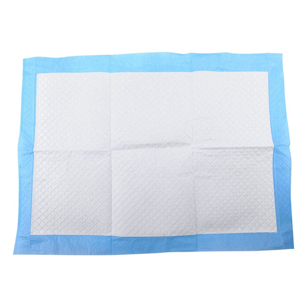 100Pcs Super Absorbent Pet Diaper Dog Training Disposable Healthy Nappy Mat for Dog Cats Animals & Pet Supplies > Pet Supplies > Dog Supplies > Dog Diaper Pads & Liners OPLLER