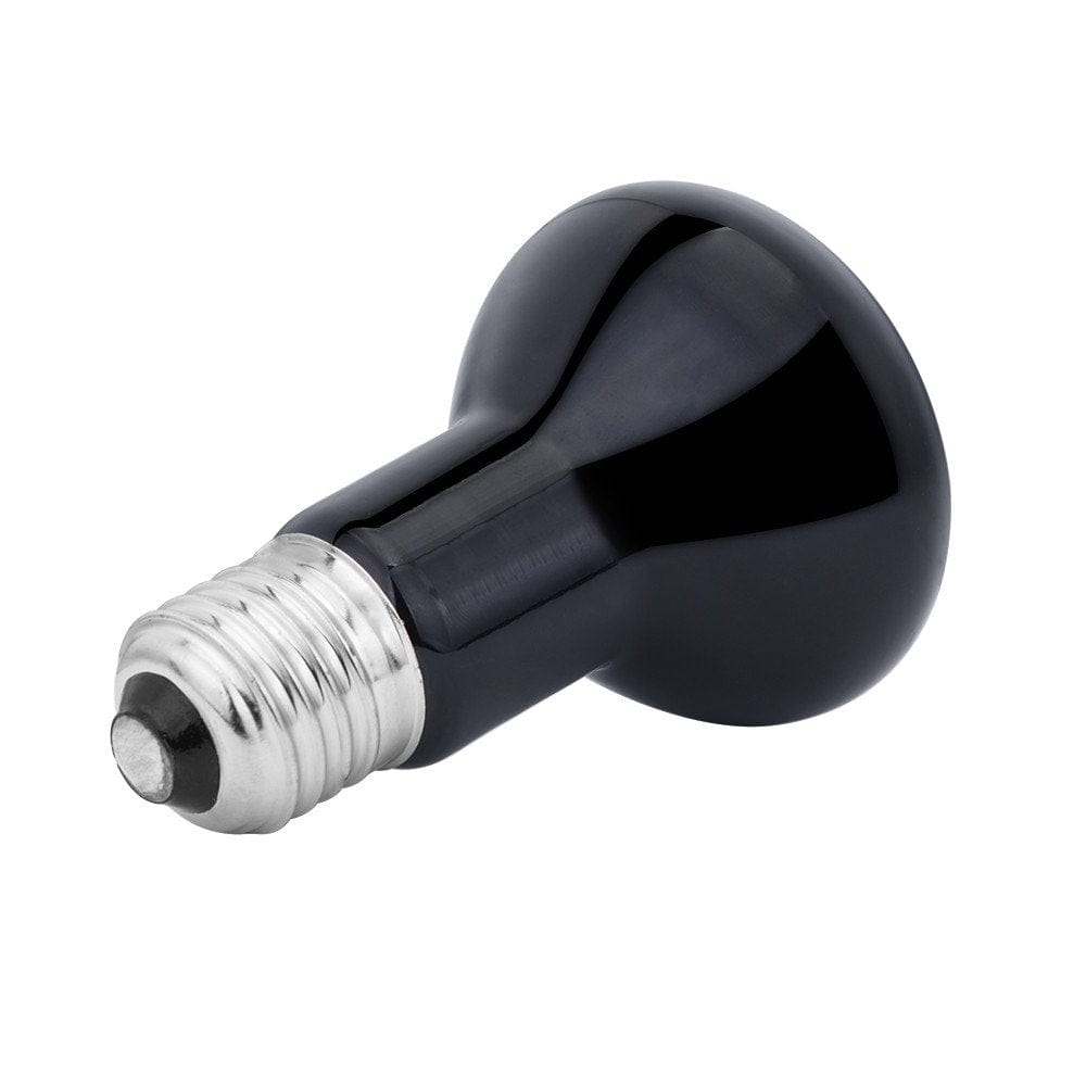 100W UVA Day Night Amphibian Snake Lamp Heat Reptile Bulb Light 220V Pet Supplies TANGNADE Animals & Pet Supplies > Pet Supplies > Reptile & Amphibian Supplies > Reptile & Amphibian Habitat Heating & Lighting TANGNADE