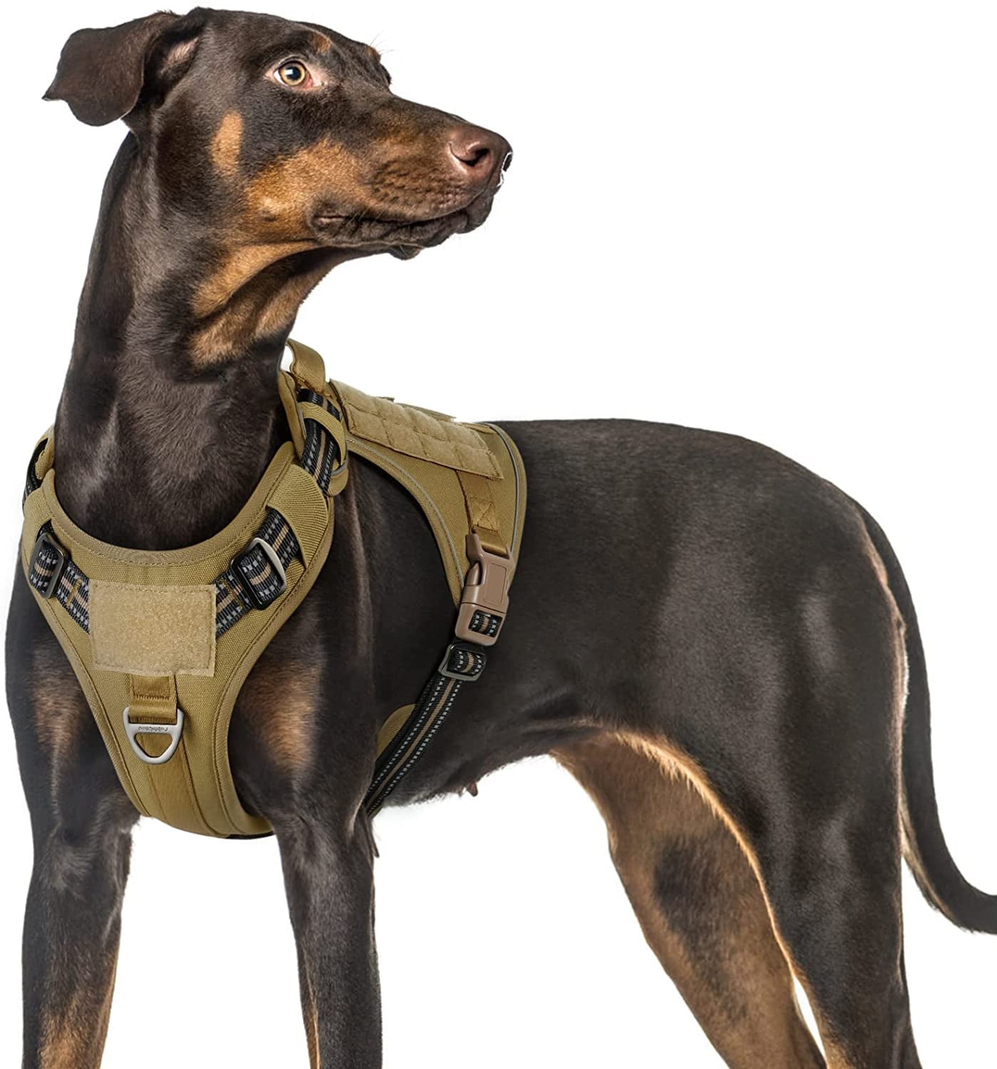 Rabbitgoo Tactical Dog Harness No Pull, Military Dog Vest Harness with Handle & Molle, Easy Control Service Dog Harness for Large Dogs Training Walking, Adjustable Reflective Pet Harness, Black, L Animals & Pet Supplies > Pet Supplies > Dog Supplies > Dog Apparel GLOBEGOU CO.,LTD Brown Large 