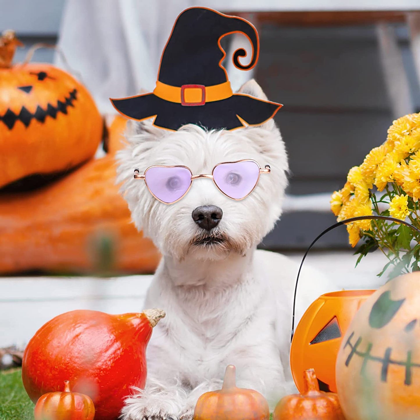 8 Pcs Heart Metal Sunglasses for Cats Small Dogs Costume Retro Small Cat Glasses Dog Glasses Dolls Sunglasses Party Cosplay Costume Photo Prop Animals & Pet Supplies > Pet Supplies > Dog Supplies > Dog Apparel Konohan