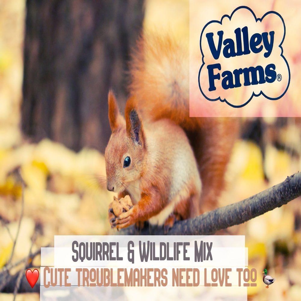 Valley Farms Squirrel & Wildlife Mix Wild Bird Food Animals & Pet Supplies > Pet Supplies > Bird Supplies > Bird Food Valley Farms