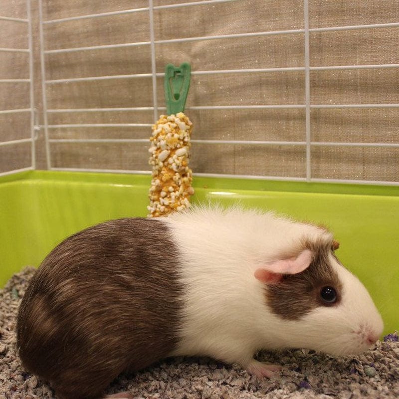 12 Count (6 X 2 Ct) Vitakraft Crunch Sticks with Popped Grains and Honey Guinea Pig Treat Animals & Pet Supplies > Pet Supplies > Small Animal Supplies > Small Animal Treats Vitakraft