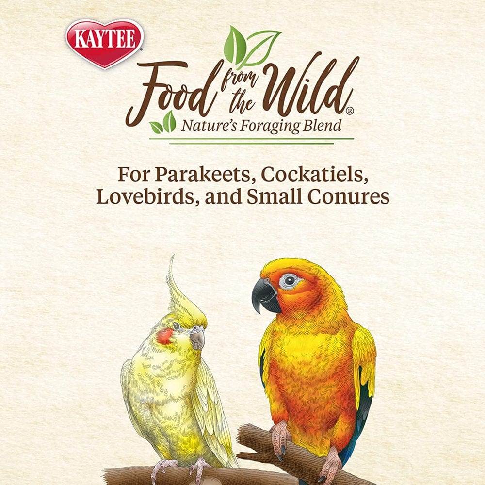 12 Oz (4 X 3 Oz) Kaytee Food from the Wild Natural Snack for Small Birds Animals & Pet Supplies > Pet Supplies > Bird Supplies > Bird Treats Kaytee