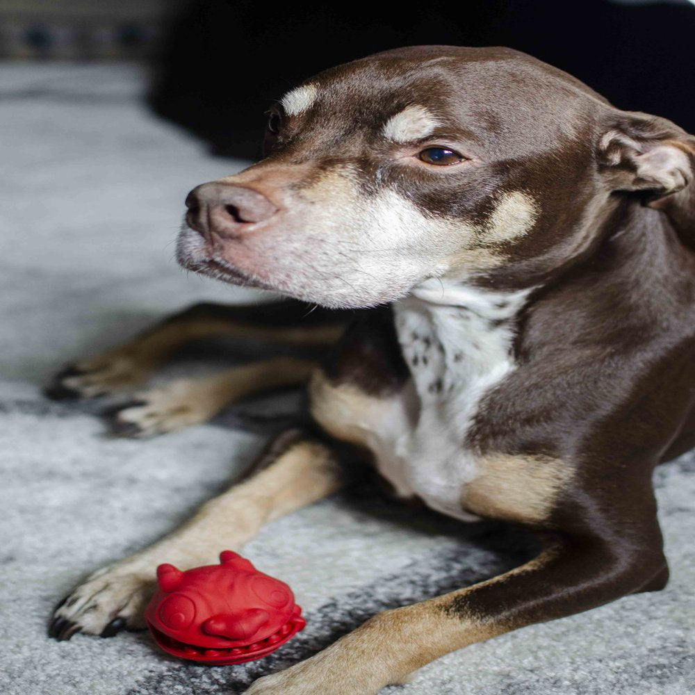 Hyper Pet Crazy Crew Rubber Haniball Dog Chew Toys Animals & Pet Supplies > Pet Supplies > Dog Supplies > Dog Toys Hyper Pet