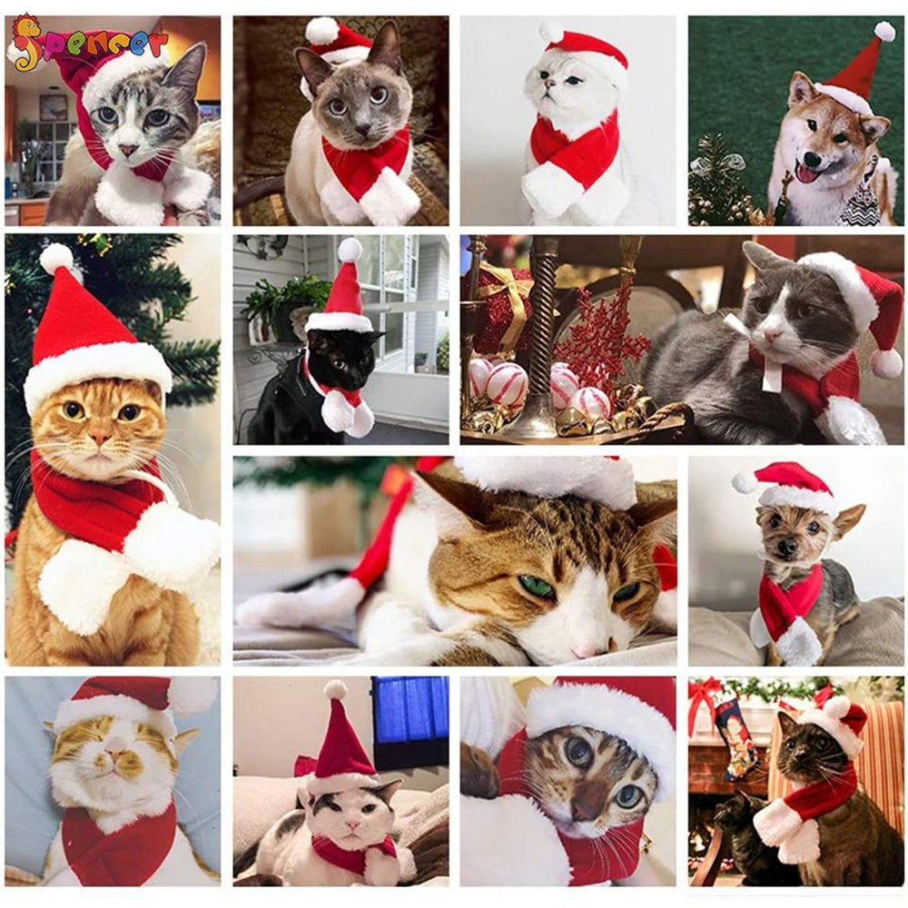 Spencer 2Pcs Pet Dog Cat Santa Hat & Red Scarf Set Christmas Outfit Pet Costume Apparels for Puppys Small Cats Animals & Pet Supplies > Pet Supplies > Dog Supplies > Dog Apparel Spencer
