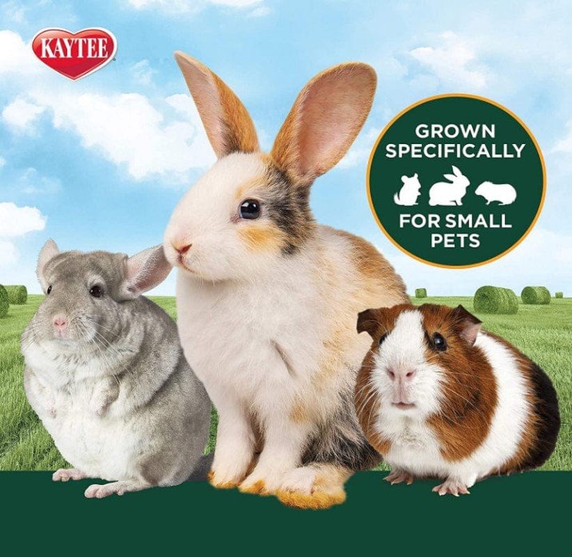 144 Oz (6 X 24 Oz) Kaytee All Natural Alfalfa Hay for Rabbits, Guinea Pigs and Small Animals Animals & Pet Supplies > Pet Supplies > Small Animal Supplies > Small Animal Food Kaytee