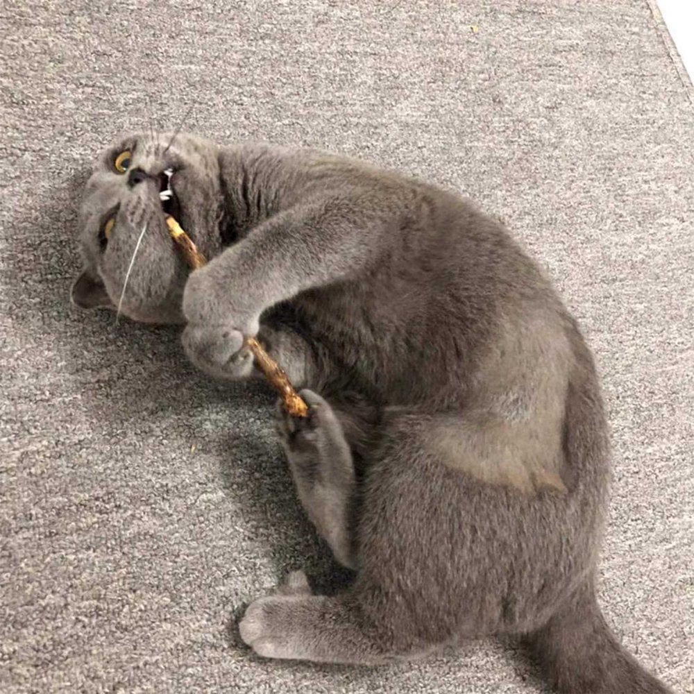 15Pcs Natural Silvervine Sticks & 3X Cat Litter Box Liners, Extra Durable 21 Count Jumbo Drawstring Litter Pan Bags Animals & Pet Supplies > Pet Supplies > Cat Supplies > Cat Litter Box Liners KOL PET