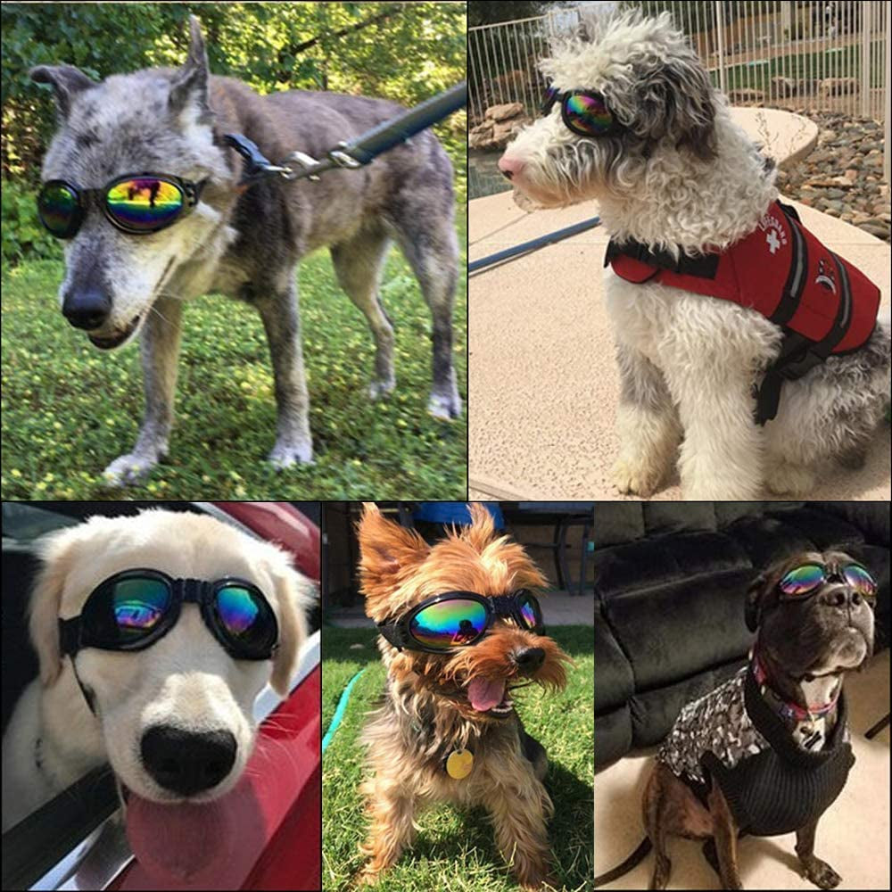 3Pcs Stylish Pet Glasses Cool Dog Sunglasses Dog Doggles Waterproof Windproof Eyewear UV Protection Sunglass for Doggy Puppy Animals & Pet Supplies > Pet Supplies > Dog Supplies > Dog Apparel CHULAI