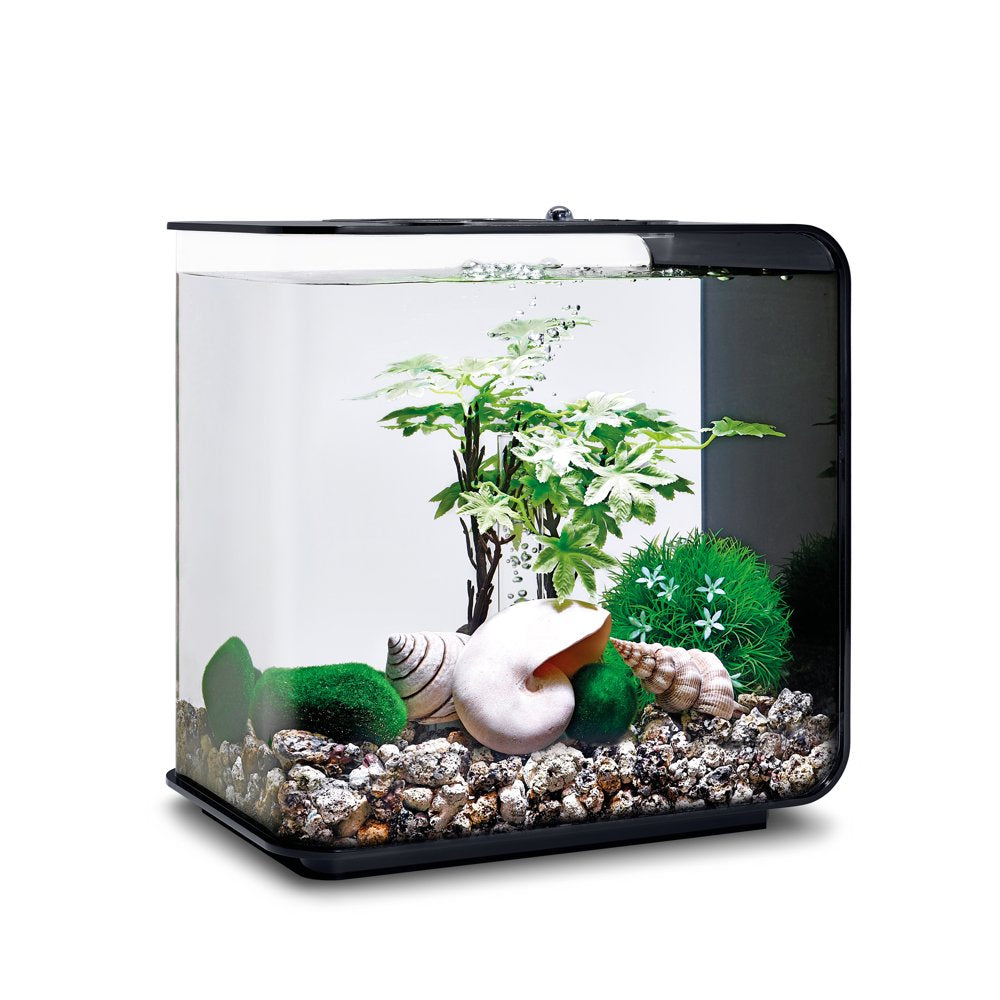 Biorb Aquarium Decor Set 15L Summer Animals & Pet Supplies > Pet Supplies > Fish Supplies > Aquarium Decor OASE
