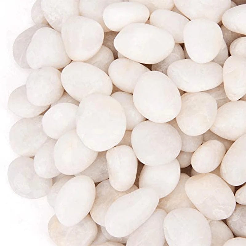 18 Pounds Decorative Pebbles White Stones River Rock Aquarium Gravel,White Natural Polished Decorative Gravel,Garden Ornamental Pebbles,Decorative Stones,White Pebbles,Polished Decor Rocks (White) Animals & Pet Supplies > Pet Supplies > Fish Supplies > Aquarium Decor CFKJ