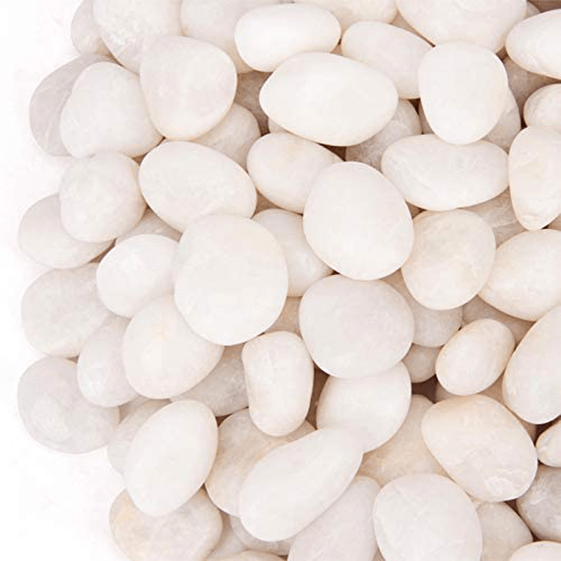 18 Pounds Decorative Pebbles White Stones River Rock Aquarium Gravel,White Natural Polished Decorative Gravel,White Pebbles,Garden Ornamental Pebbles,Decorative Stones,Polished Decor Rocks (18.6) Animals & Pet Supplies > Pet Supplies > Fish Supplies > Aquarium Decor CFKJ