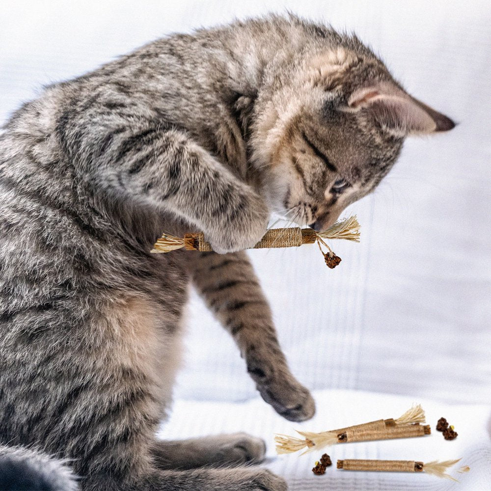 Springcorner 4 Pcs Natural Silvervine Catnip Cat Teeth Cleaning,Cat Chew Toy,Catmint Silvervine Blend Sticks,Catnip Cat Chew Toys for Kittens Teeth Cleaning,Cat Dental Care Animals & Pet Supplies > Pet Supplies > Cat Supplies > Cat Toys SPRINGCORNER