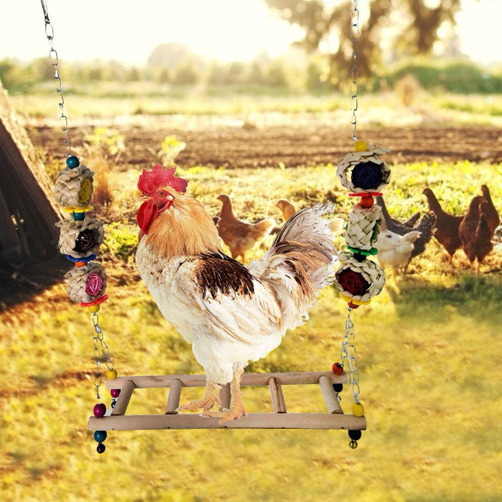 Handmade Chicken Swing Toy for Medium and Large Bird Parrot Hens Macaw Trainning Animals & Pet Supplies > Pet Supplies > Bird Supplies > Bird Toys Project Retro