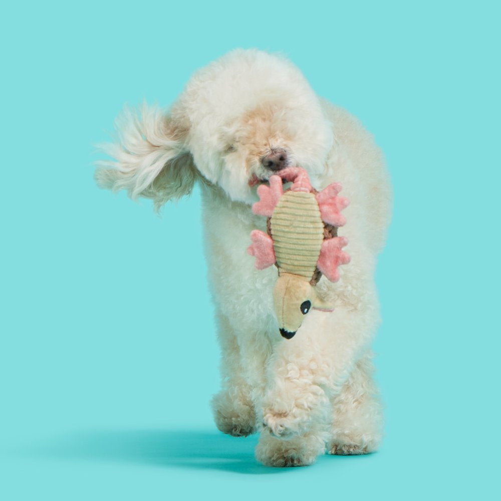 BARK Armie Dillo Dog Toy - Features Crazy Crinkle, Extra Fluff, Xs to Small Dogs Animals & Pet Supplies > Pet Supplies > Dog Supplies > Dog Toys BARK