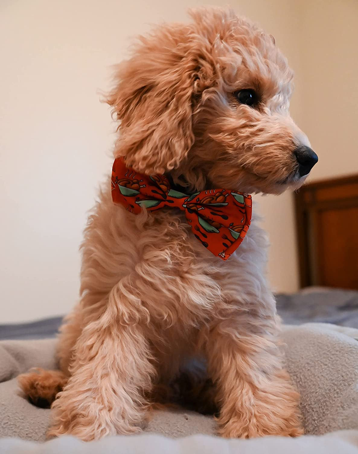 H&K Bow Tie for Pets | Turkey & Pumpkin Pie (Large) | Fall Velcro Bow Tie Collar Attachment | Fun Bow Ties for Dogs & Cats | Cute, Comfortable, and Durable | Huxley & Kent Bow Tie Animals & Pet Supplies > Pet Supplies > Dog Supplies > Dog Apparel Huxley & Kent