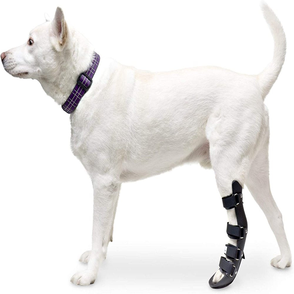 Walkin' Pet Splint for Dogs - Canine Rear Foot Splint - Xx-Small Animals & Pet Supplies > Pet Supplies > Dog Supplies > Dog Apparel Walkin' Pets L