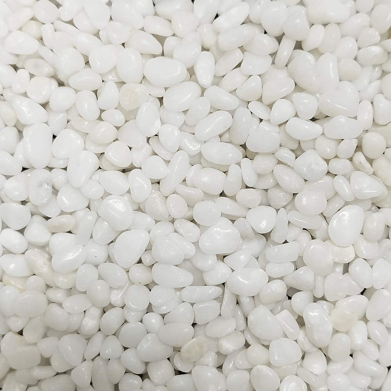 2.7 Lb Natural Polished Decorative White Pebbles - Small Stones 3/8" Gravel Size,River Rocks Pebbles for Plants, Home DIY Decor,Aquarium Gravel,Vase Fillers,Fairy Garden,Landscaping Outdoor Stones Animals & Pet Supplies > Pet Supplies > Fish Supplies > Aquarium Gravel & Substrates OUPENG