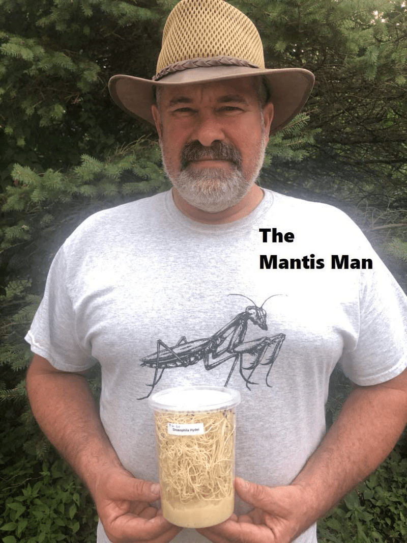 2 Pack - Fresh Fruit Fly Culture (Drosophila Hydei) - Praying Mantis Mantid Frog Lizard Food - 32Oz Cups Animals & Pet Supplies > Pet Supplies > Reptile & Amphibian Supplies > Reptile & Amphibian Food TruBlu Supply