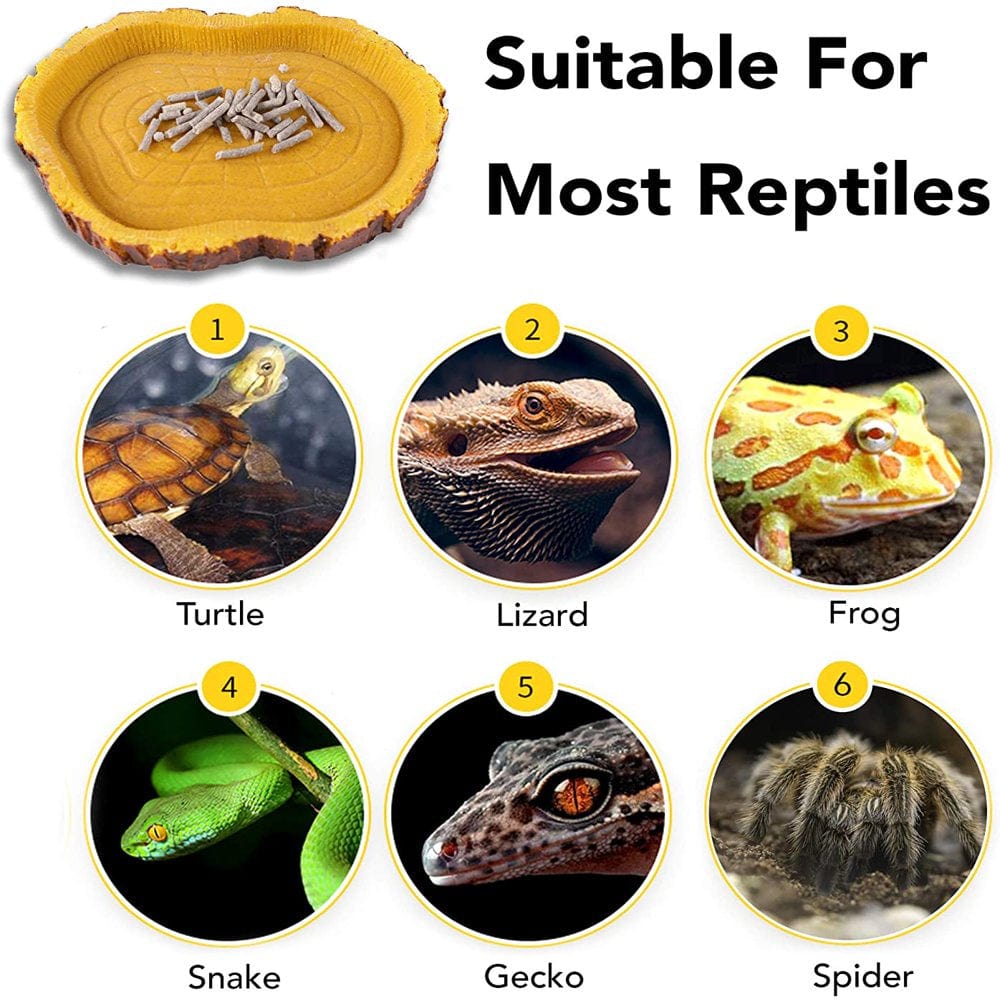 2 Pack Reptile Food Bowls - Reptile Water and Food Bowls, Novelty Food Bowl for Lizards, Young Bearded Dragons, Small Snakes and More - Made from Non-Toxic, Bpa-Free Plastic Animals & Pet Supplies > Pet Supplies > Reptile & Amphibian Supplies > Reptile & Amphibian Food Aroma360   