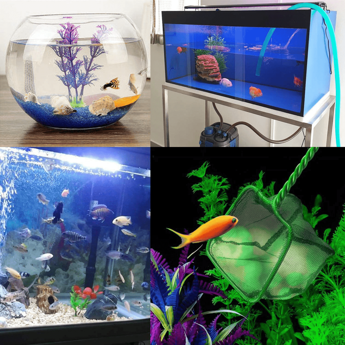 2 PCS Aquarium Fish Nets ,DSSPORT 4 Inch Aquarium Net Fine Mesh Small Fish Catch Nets with Plastic Handle Green Animals & Pet Supplies > Pet Supplies > Fish Supplies > Aquarium Fish Nets DSSPORT