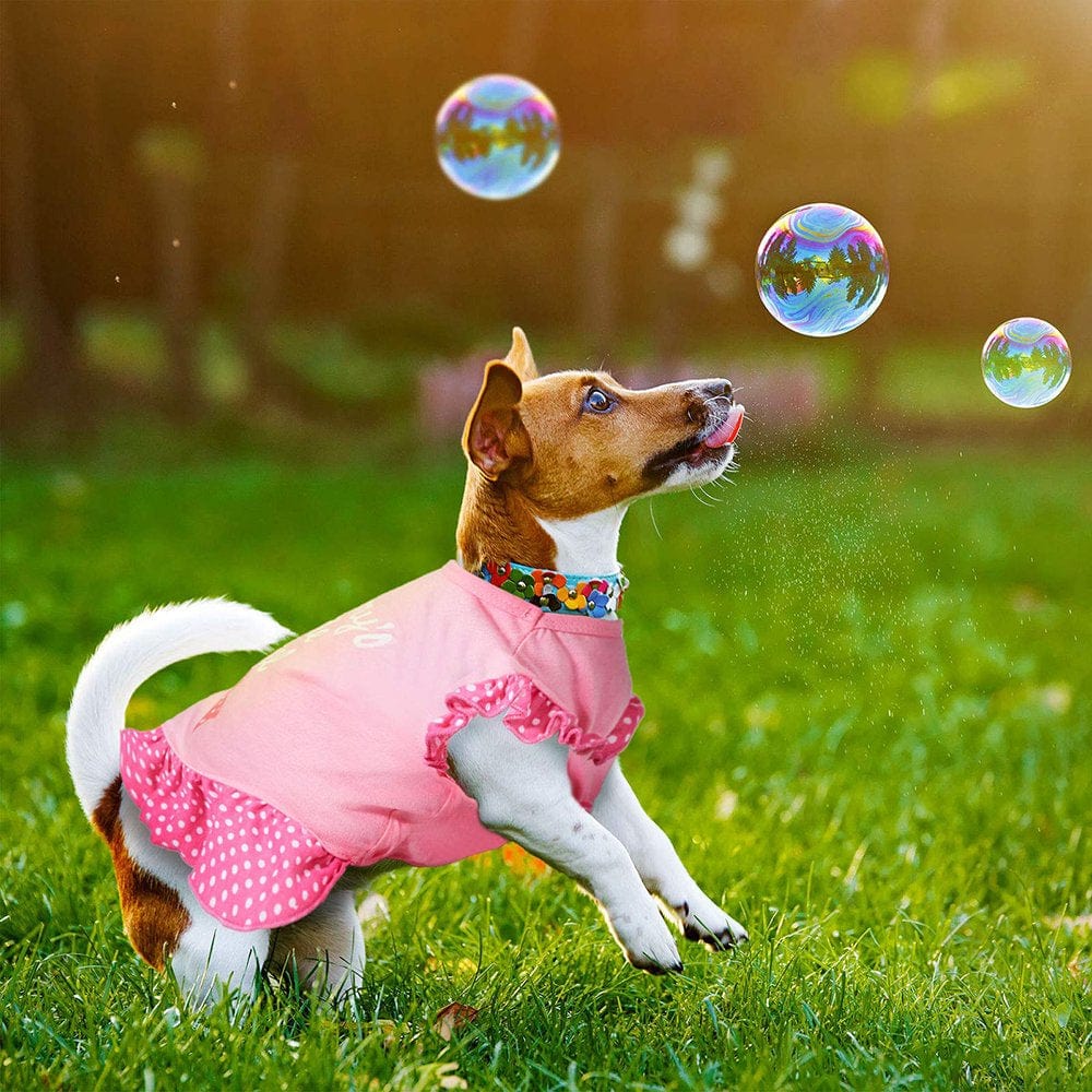 2 Pieces Dog Dresses for Small Dogs Cute Girl Female Dog Clothes Puppy Shirt Skirt Doggie Dresses Pet Summer Clothes Apparel for Dogs and Cats(Xs) Animals & Pet Supplies > Pet Supplies > Cat Supplies > Cat Apparel Powerdelux