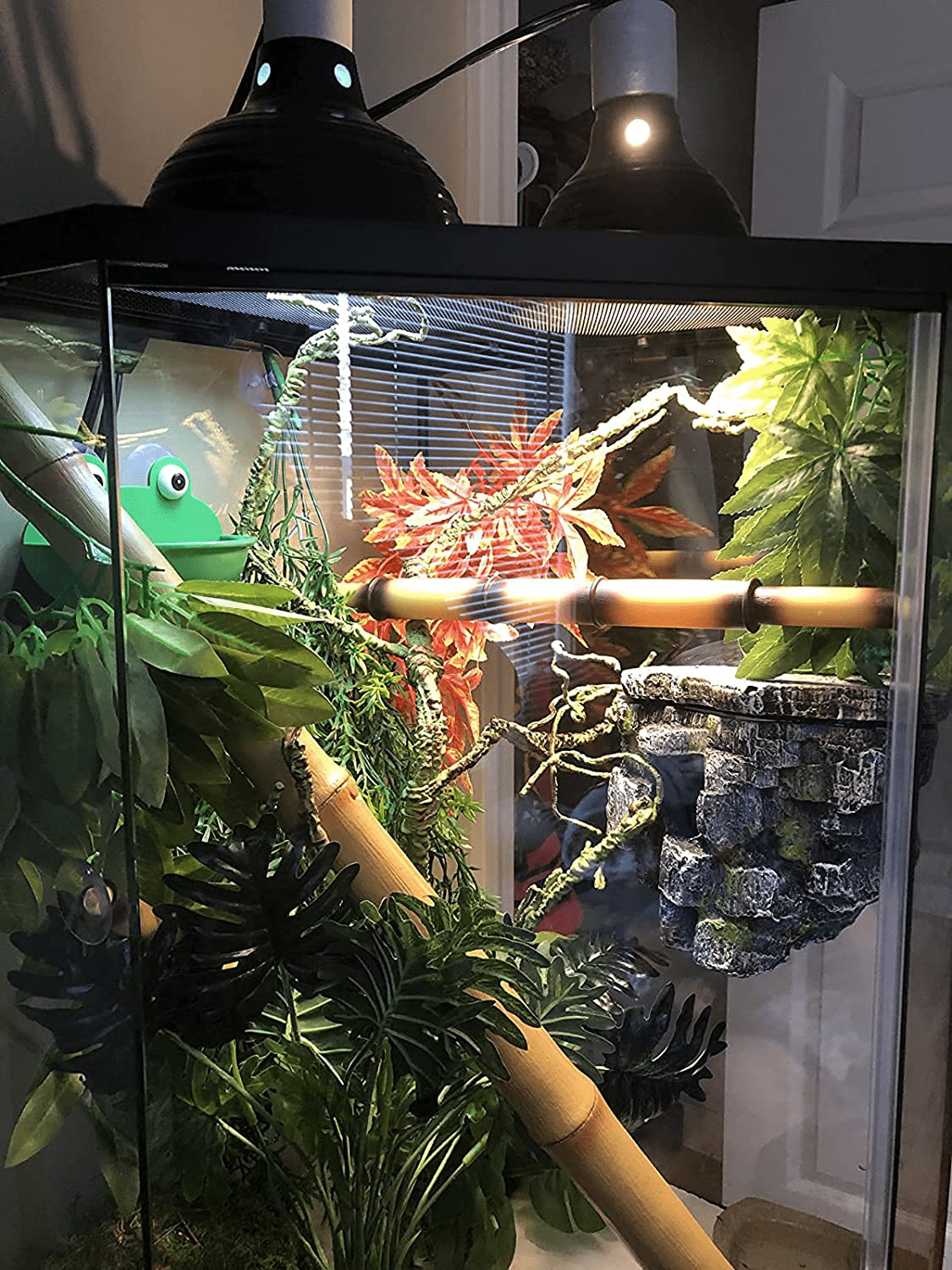 2 Pieces Frog Habitat with Dual Suction Cups Cute Fish Tank for Amphibian Aquatic Toad Frog Tadpole Tree Frog Small Aquatic Animals Animals & Pet Supplies > Pet Supplies > Small Animal Supplies > Small Animal Habitat Accessories Cunguv