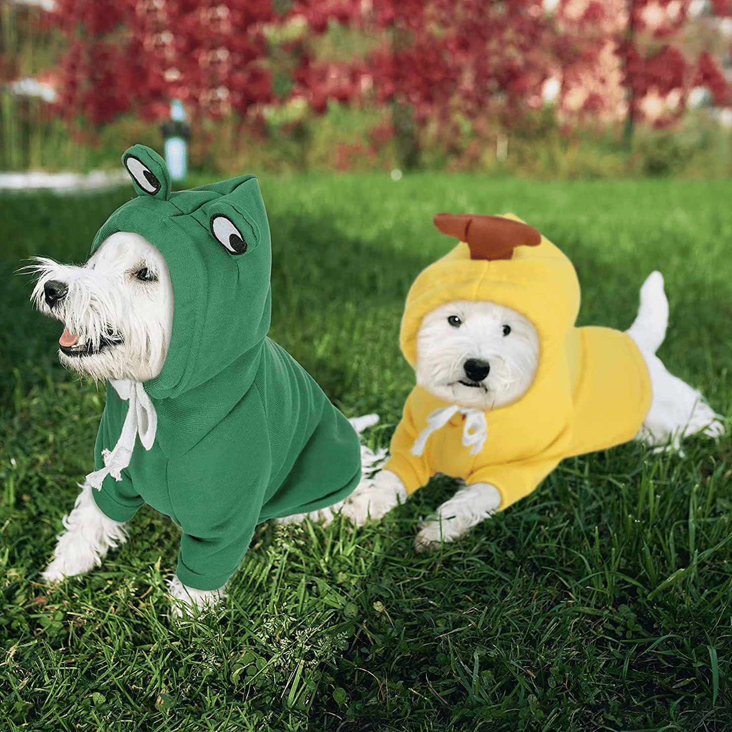 2 Pieces Fruit Dog Hoodie Clothes,Cute Dog Costume Warm Dog Sweater Cold Weather Sweatshirt Pet Coat for Puppy Small Medium Dogs Cats Animals & Pet Supplies > Pet Supplies > Dog Supplies > Dog Apparel Frienda
