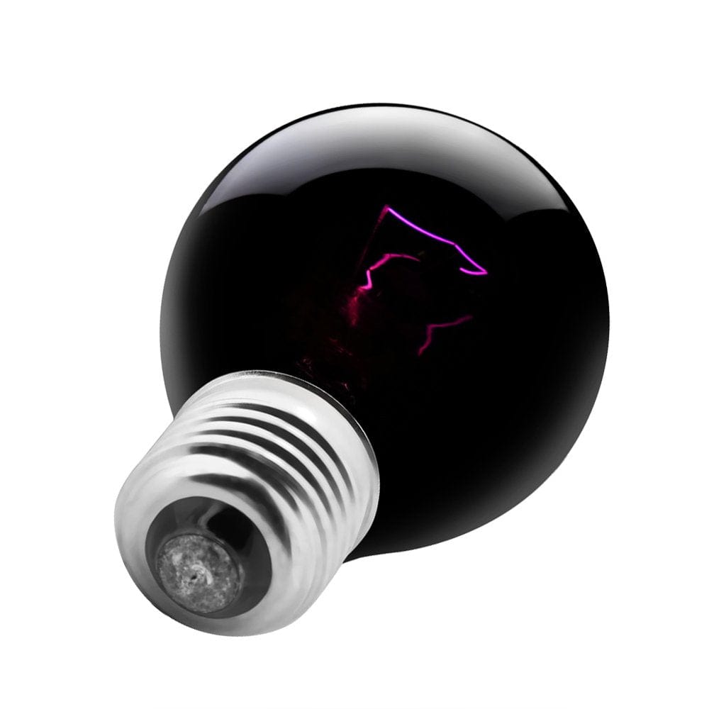 220-230V Night Heat Light Lamp Heating Bulb for Reptile Pet Amphibian (100W) Animals & Pet Supplies > Pet Supplies > Reptile & Amphibian Supplies > Reptile & Amphibian Habitat Heating & Lighting FAGINEY