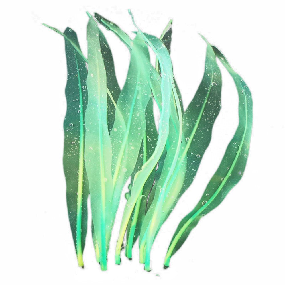 Leaveforme Artificial Sea Weed Plant Kelp Soft Silicone Aquarium Ornament Fish Tank Decor Animals & Pet Supplies > Pet Supplies > Fish Supplies > Aquarium Decor leaveforme Green 18cm