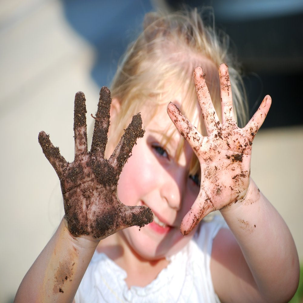 The Cat Ladies Organic Grass Seed Blend, Organic, Non GMO, for Cats, 8 Oz Animals & Pet Supplies > Pet Supplies > Cat Supplies > Cat Treats The Cat Ladies