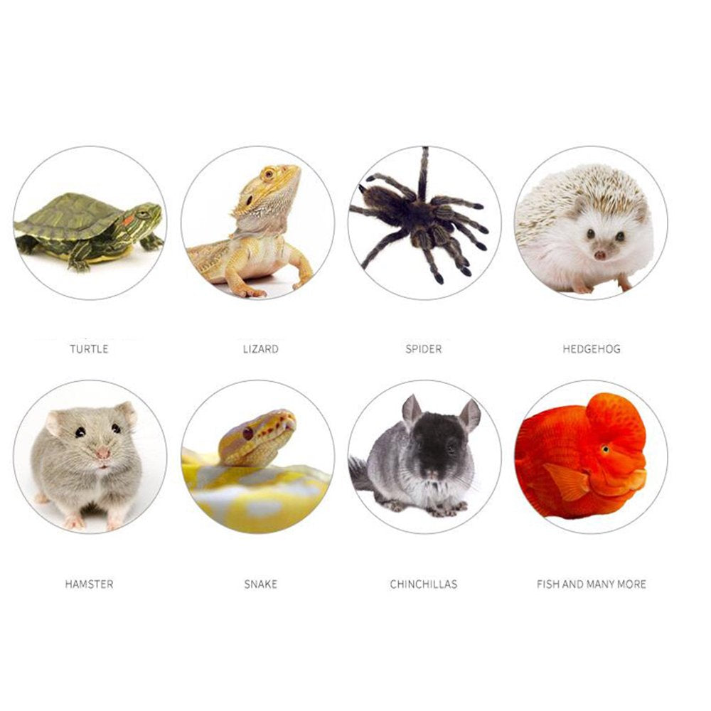 NUOLUX 1PC 5W Reptile Heating Pad Mat Adjustable Temperature Reptile Tank Warmer Mat for Turtle Lizard with UK Plug Animals & Pet Supplies > Pet Supplies > Reptile & Amphibian Supplies > Reptile & Amphibian Substrates NUOLUX