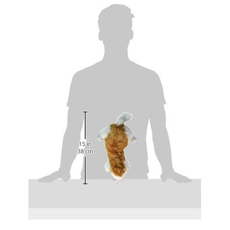 Hartz Floppy Fantasy Cuddly Squeaky Dog Toy, Animal May Vary Animals & Pet Supplies > Pet Supplies > Dog Supplies > Dog Toys Hartz Mountain Corp