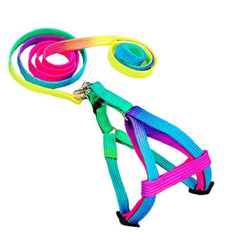 240PCS Easter Eggs Plastic Fake Eggshell DIY Simulation Party Decoration Toys Children Gift Animals & Pet Supplies > Pet Supplies > Fish Supplies > Aquarium Cleaning Supplies Gratying 20pcs rainbow color