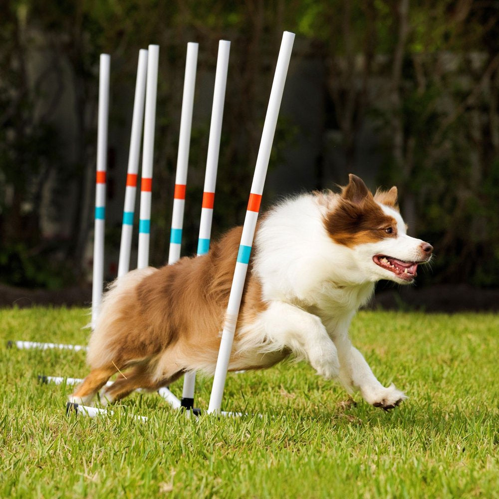 Midlee Dog Agility Weave Poles Animals & Pet Supplies > Pet Supplies > Dog Supplies > Dog Treadmills midlee