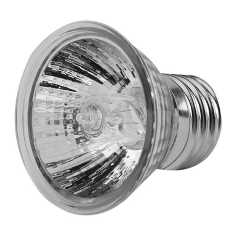 25/50/75W UVA UVB Reptile Heating Lamp Bulb Amphibians Temperature Controller Low-Intensity Light 25W Animals & Pet Supplies > Pet Supplies > Reptile & Amphibian Supplies > Reptile & Amphibian Habitat Heating & Lighting MODERN HOMEZIE